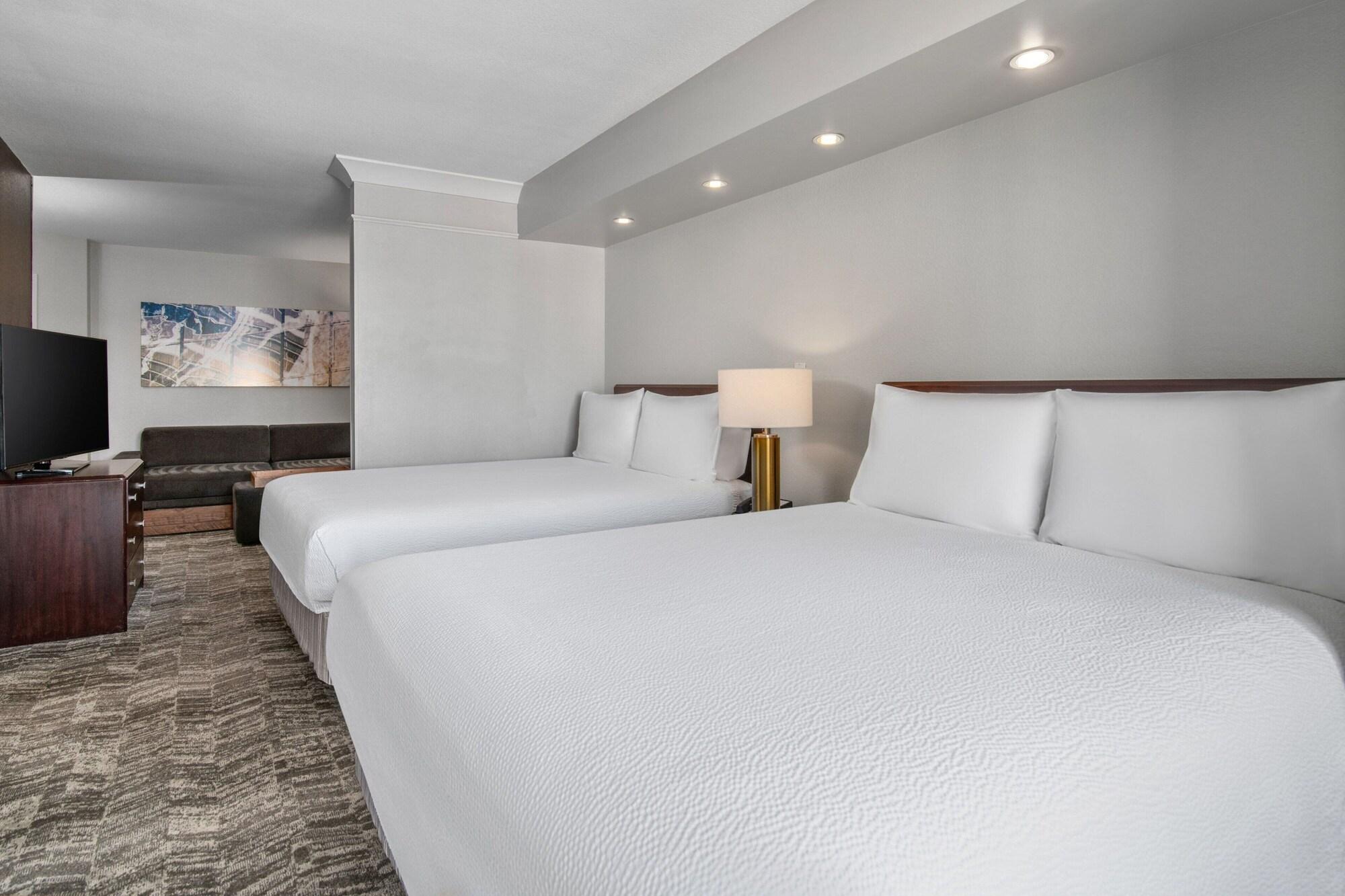 Suite, Multiple Beds, Accessible