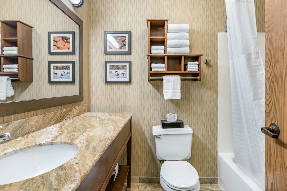 Comfort Inn Wings Stadium 18/29