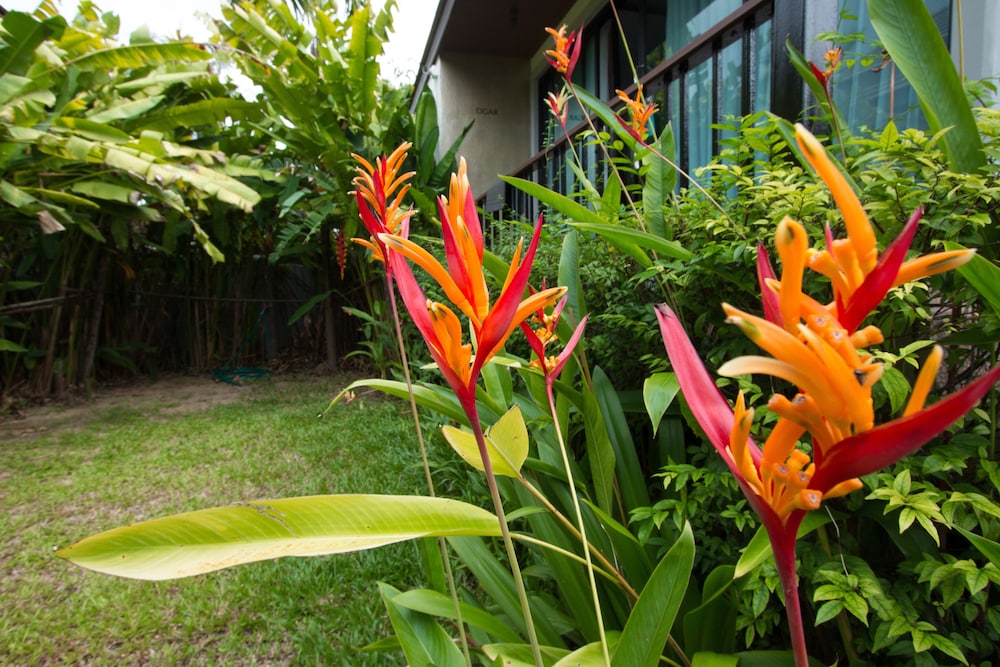 Himaphan Boutique Resort 24/34