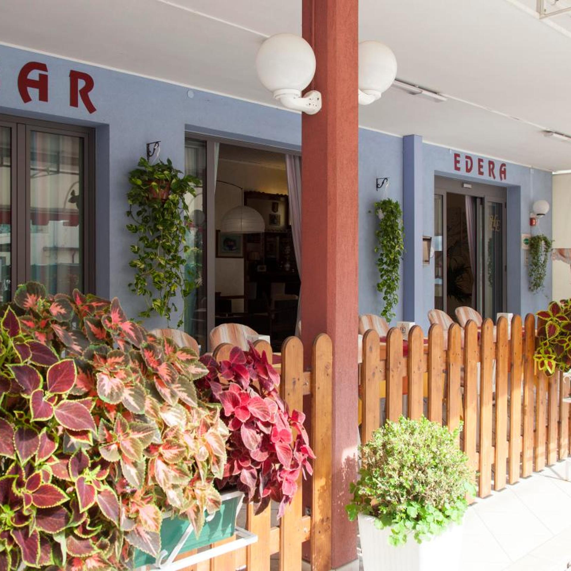 Hotel Edera 3/50