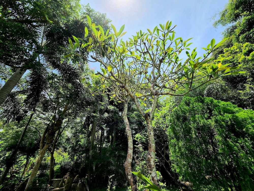 Kata Garden Resort 46/50