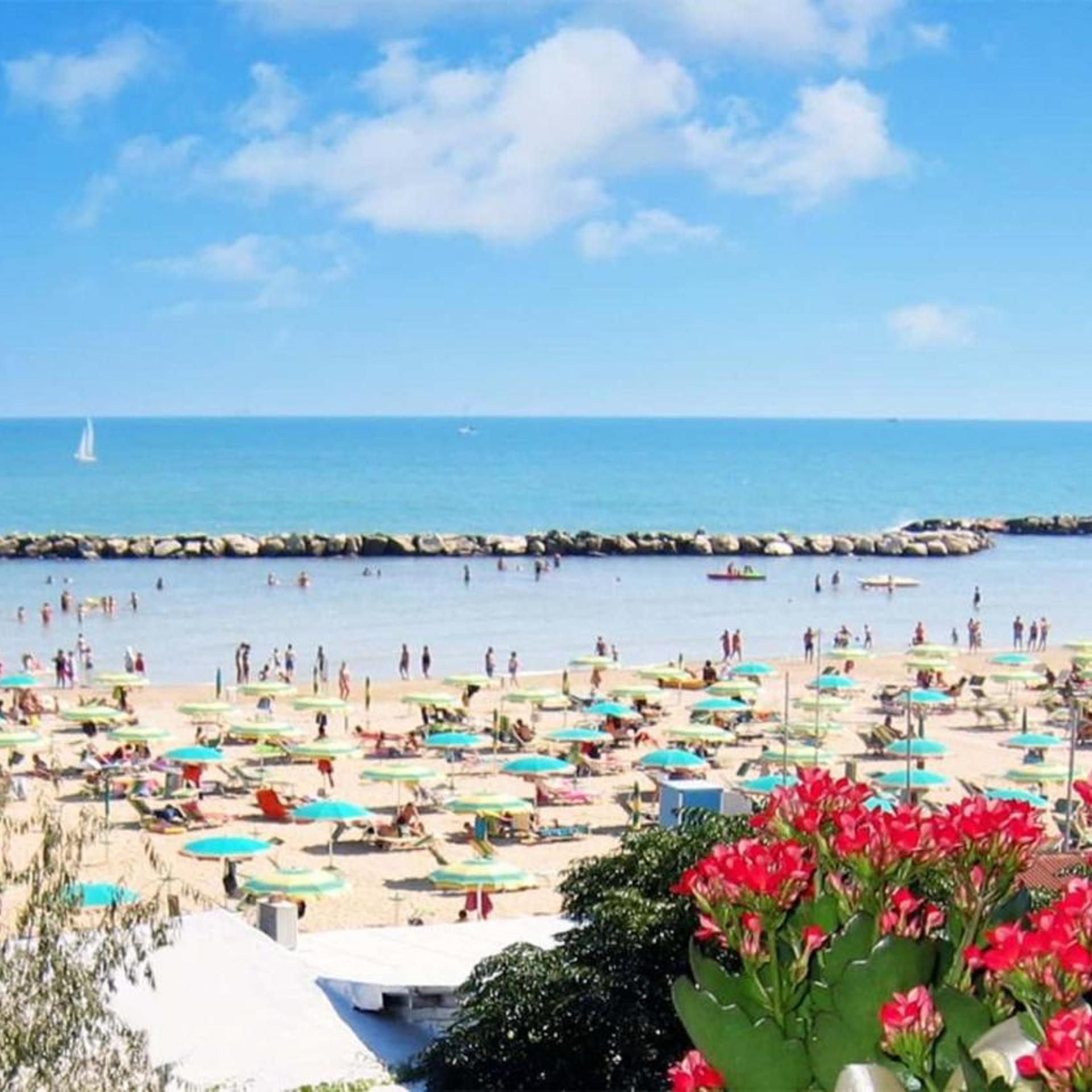 Hotel Acquario 39/50