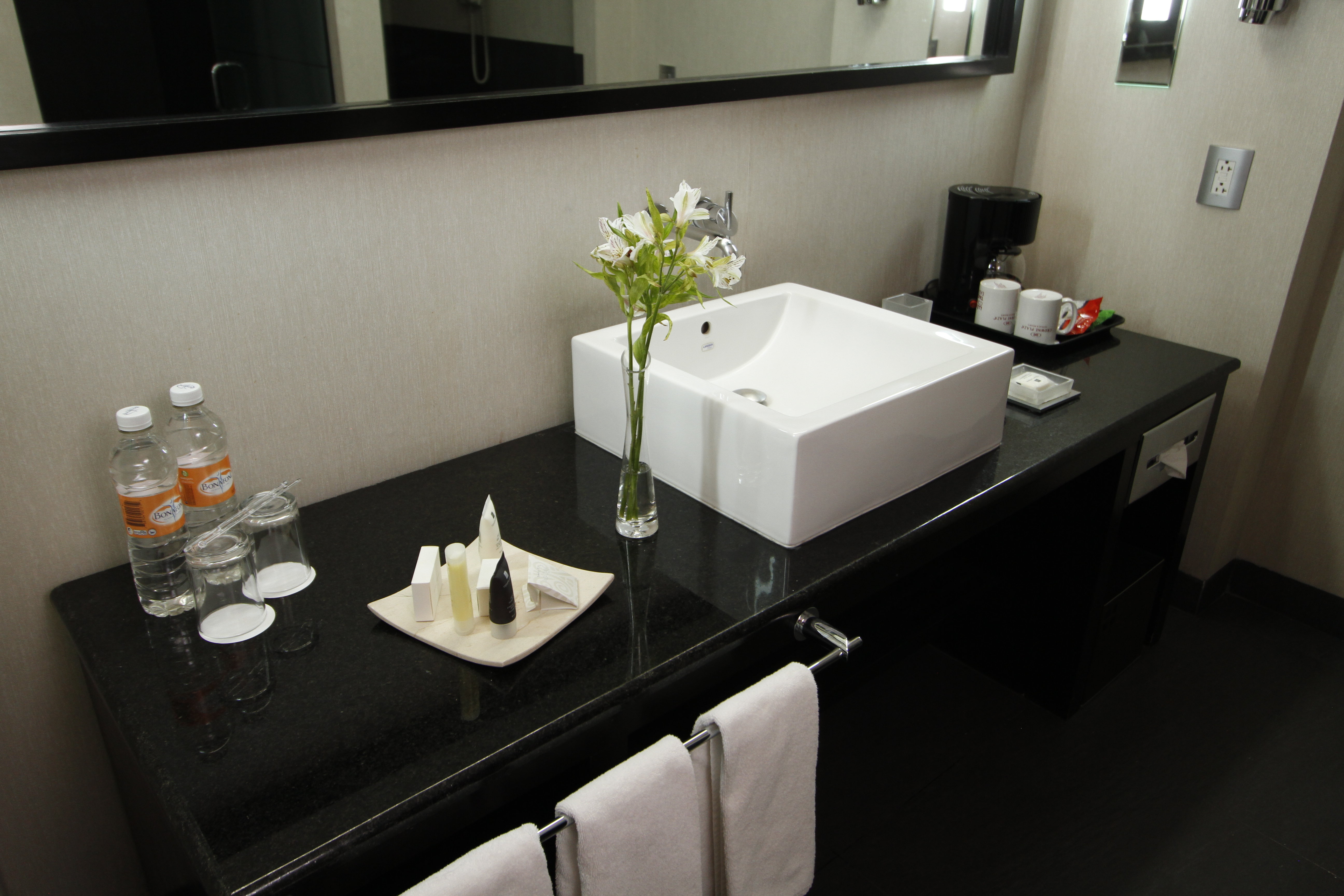 Crowne Plaza Toluca-Lancaster 78/78