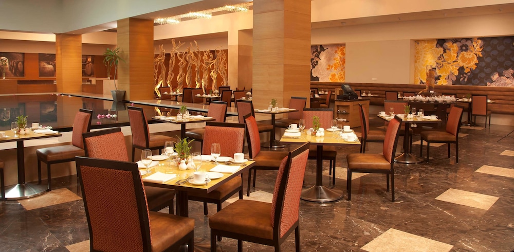 Radisson Blu Hotel Ranchi 54/68