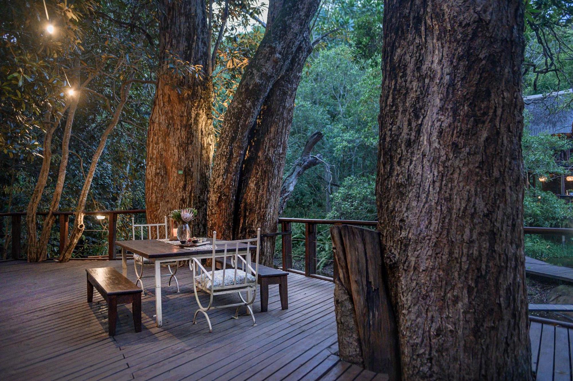 Serenity Mountain and Forest Lodge 22/50