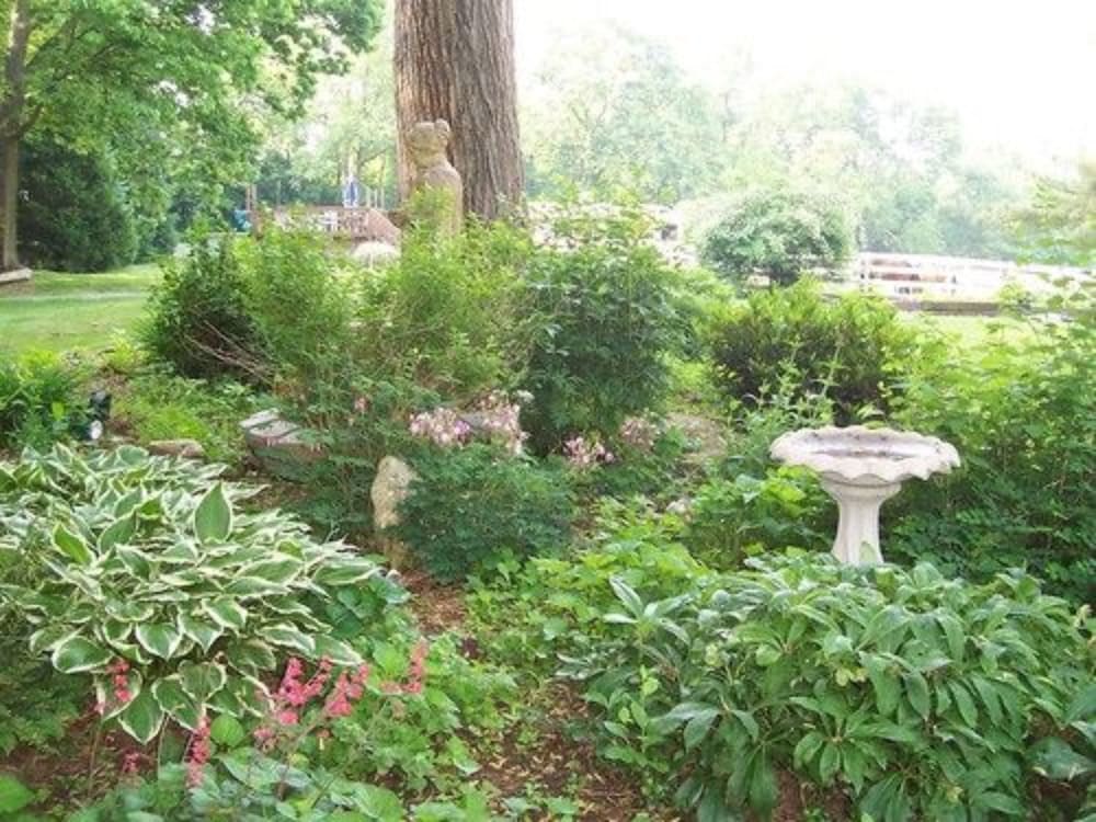 Fallen Tree Farm Bed & Breakfast 34/50