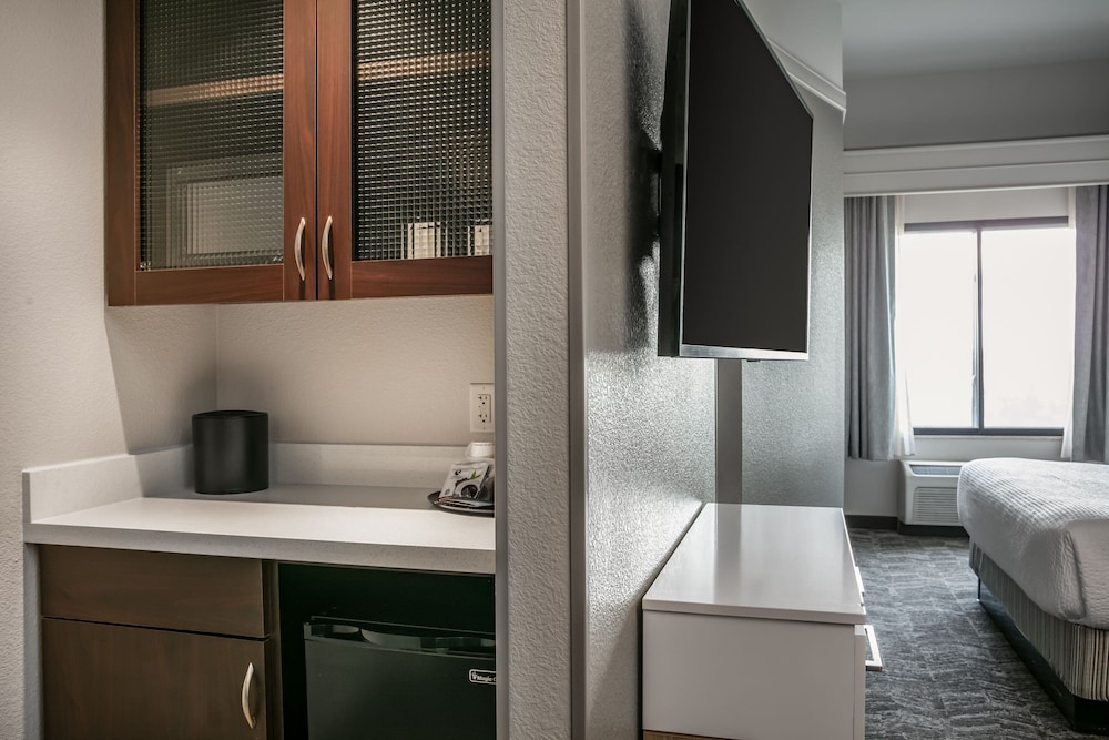 جناح بسرير كينج مع سرير سحّاب إضافي لذوي الإعاقة، Springhill Suites Cheyenne 4/5