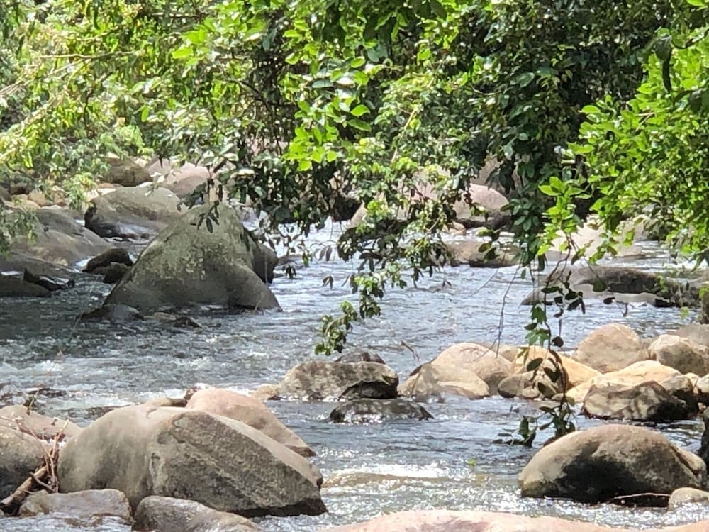 River Garden Resort 19/46