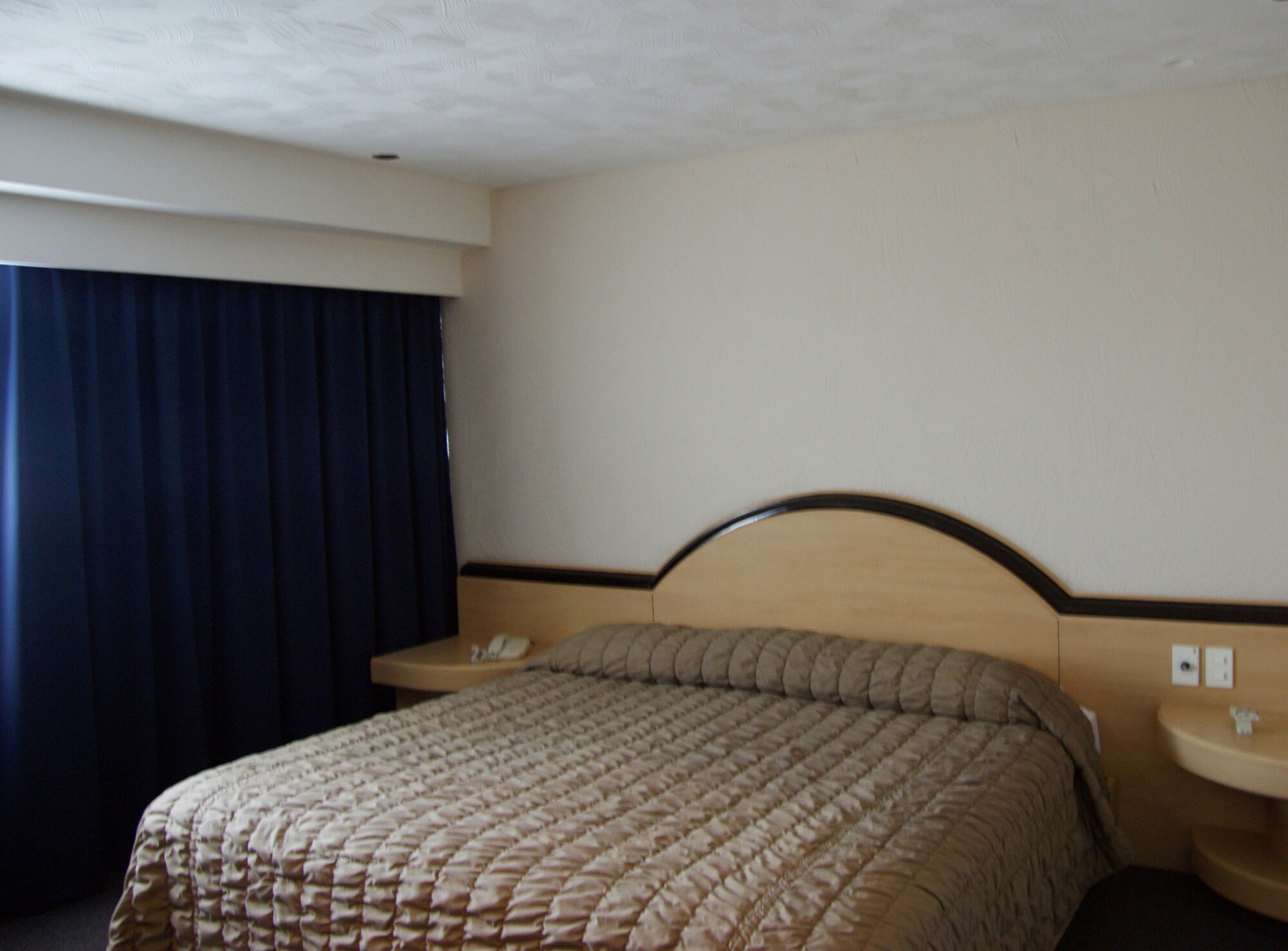 غرفة قياسية بسرير كينج، Portonovo Hotel And Suites 2/3