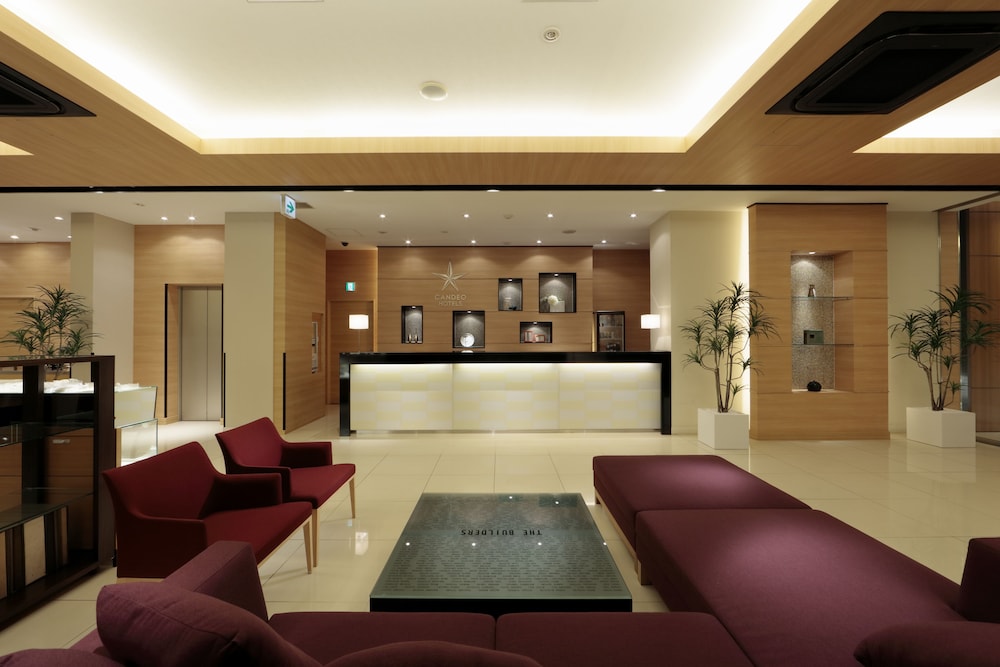 Candeo Hotels Kikuyo 6/37