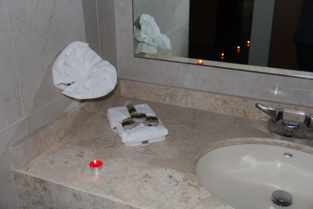 Hotel Real Zapopan 15/44