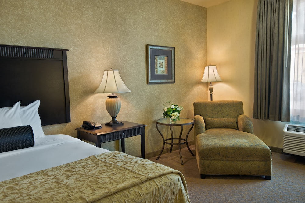 SUITE, KING BED