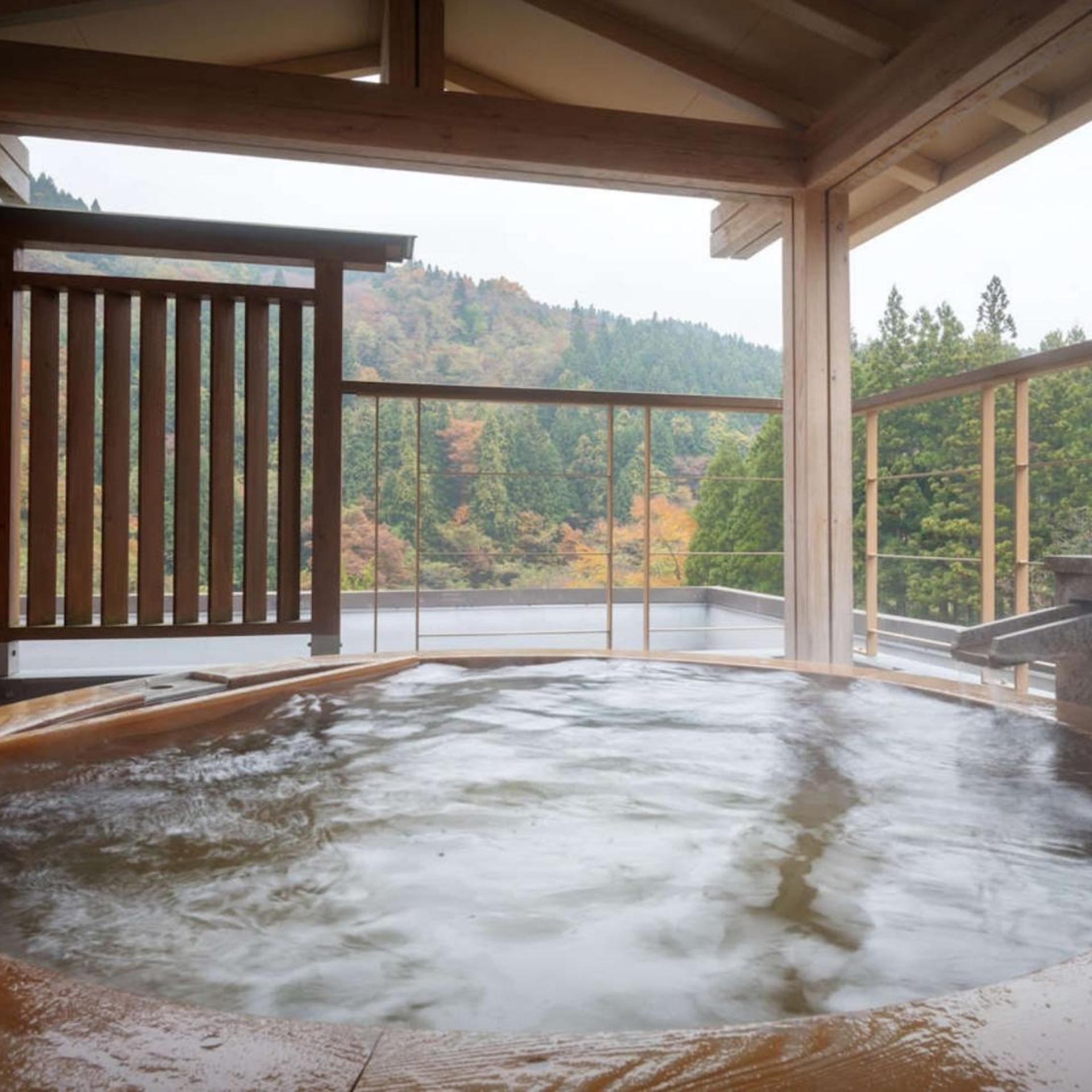 Tsuchiyu Onsen Harumiya Ryokan 31/54