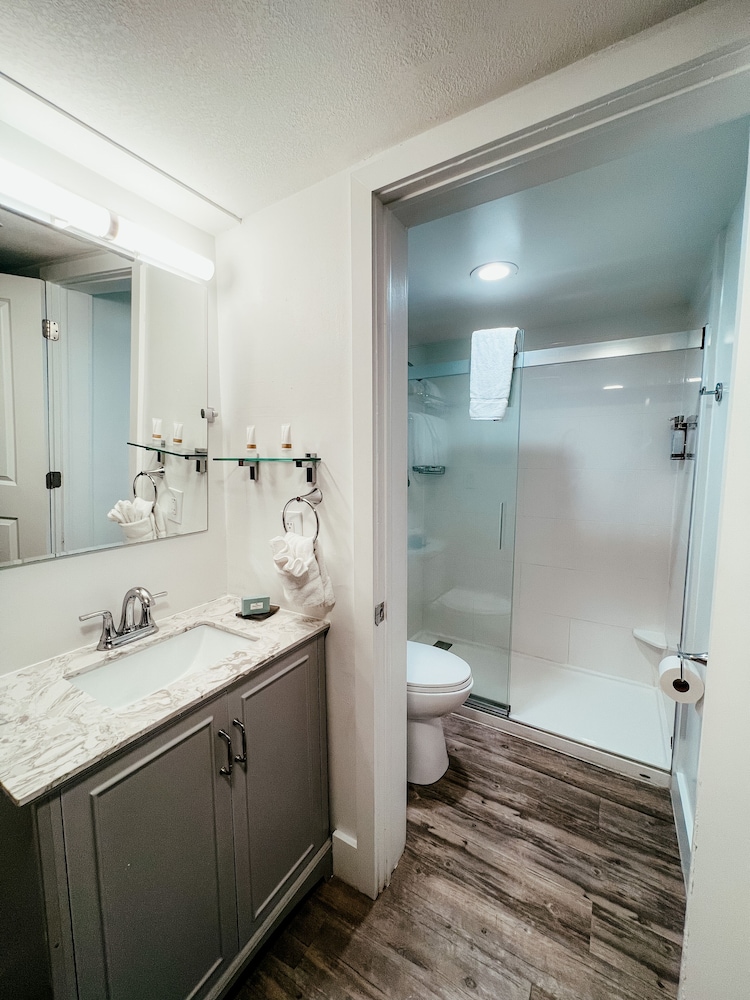 Premier, King Bed, Bay View