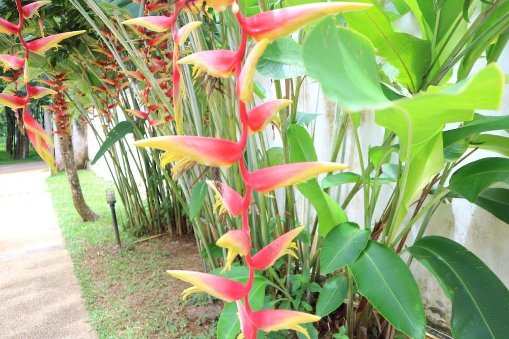 Mountain Villa Aonang Krabi 26/29