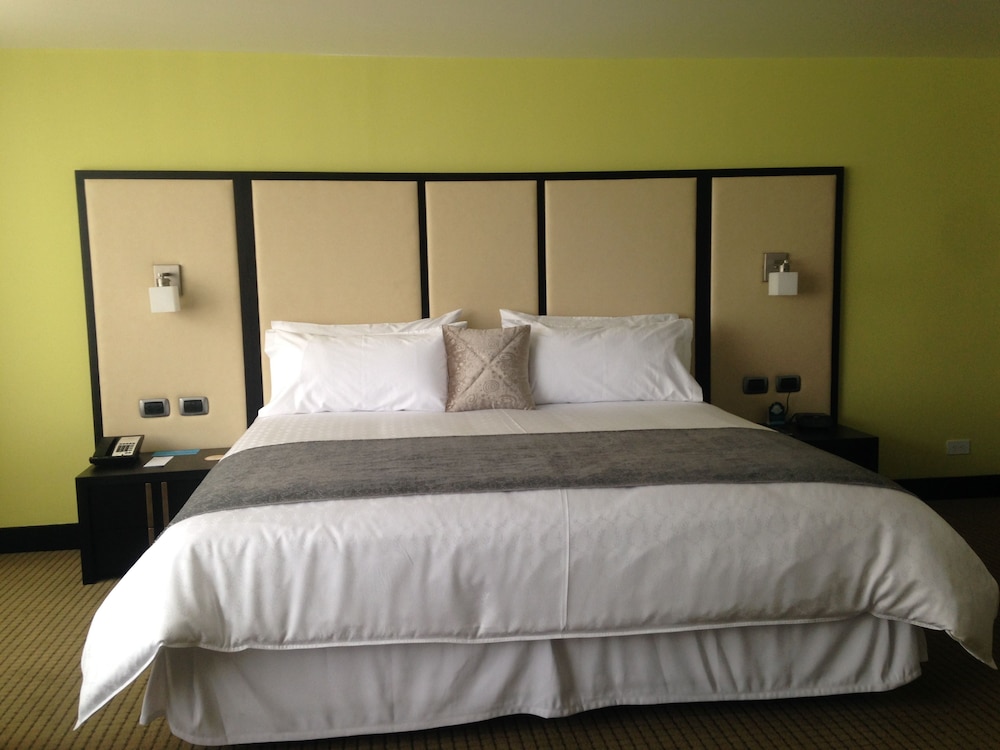Wyndham Garden Quito 31/80