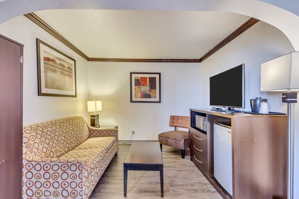 جناح بسرير كينج بغرفة نوم واحدة مع أريكة، Park Inn By Radisson Salt Lake City Midvale 4/8