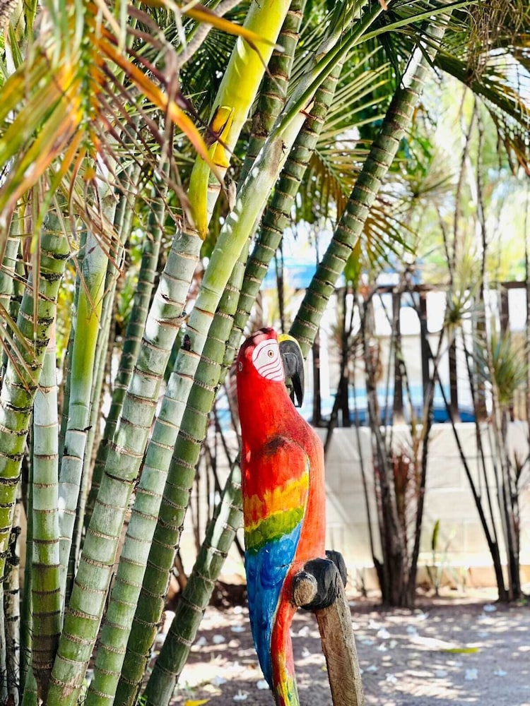 Pousada Sky Beach Flat 38/44