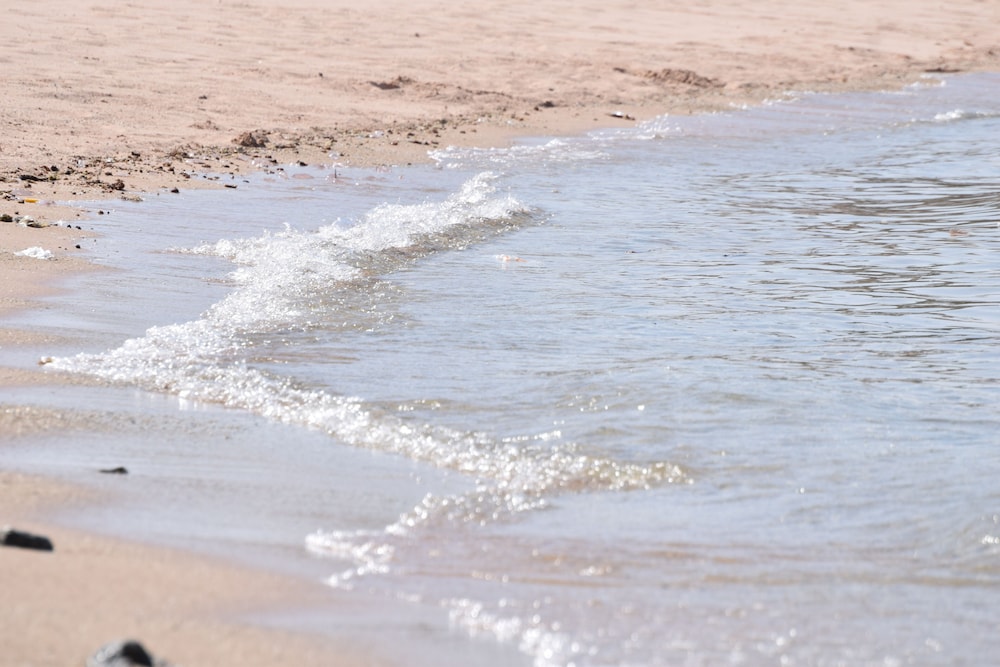Sharm El Naga Resort and Diving Center 16/37