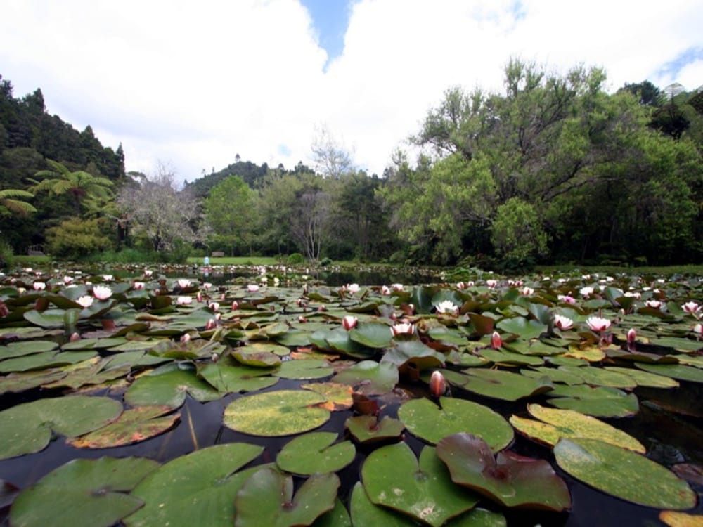 RAPAURA WATERGARDENS 32/36