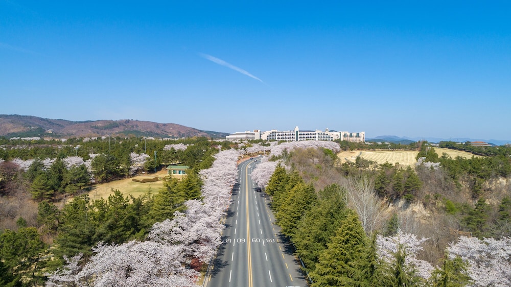 Kensington Resort Gyeongju 41/50
