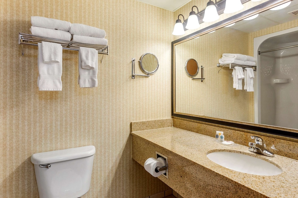 Comfort Inn and Suites Branson Meadows 15/44