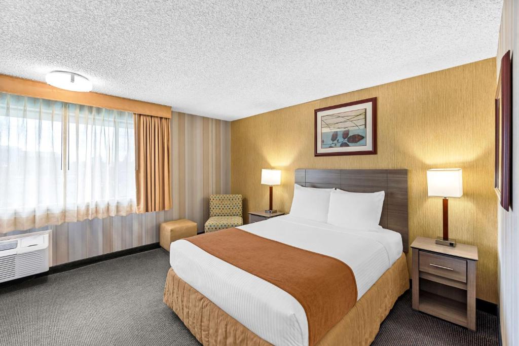 Suite, King Bed