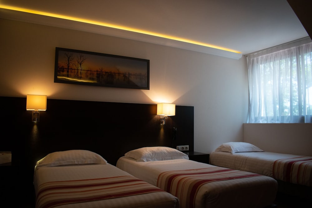 Logis Hotel Black and Green 8/50