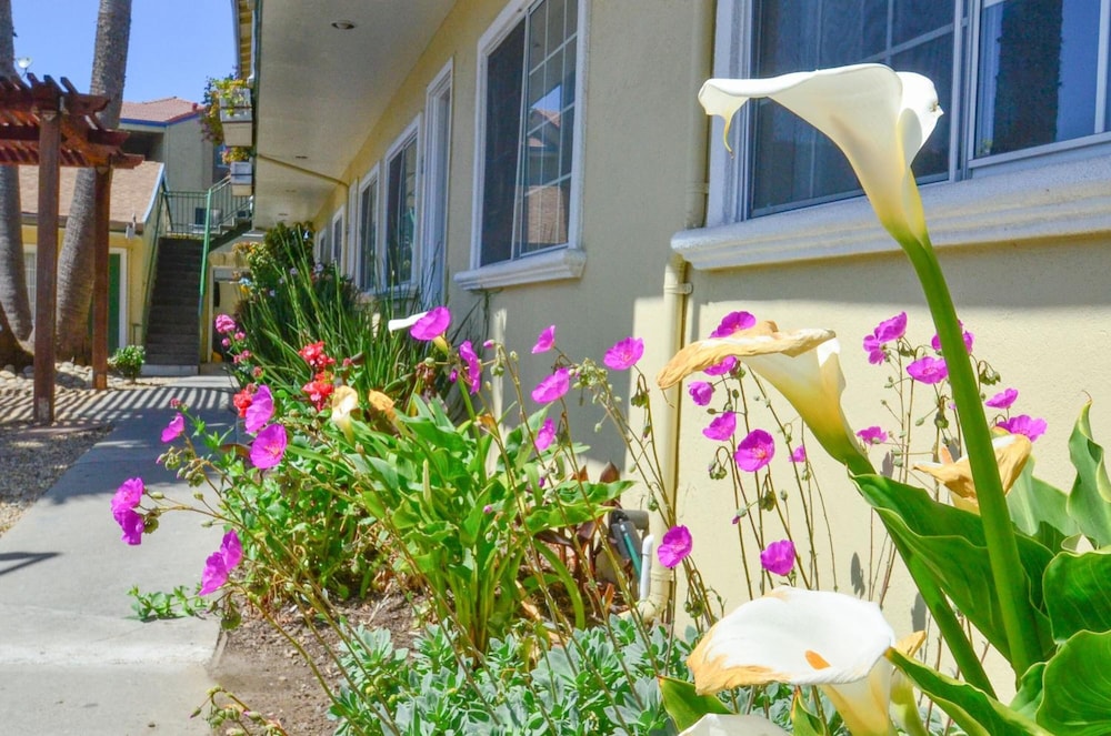Bay Front Inn Santa Cruz 49/55