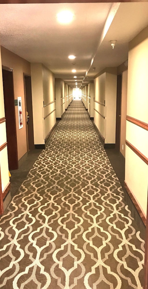 Comfort Inn and Suites At I-74 And 155 27/33