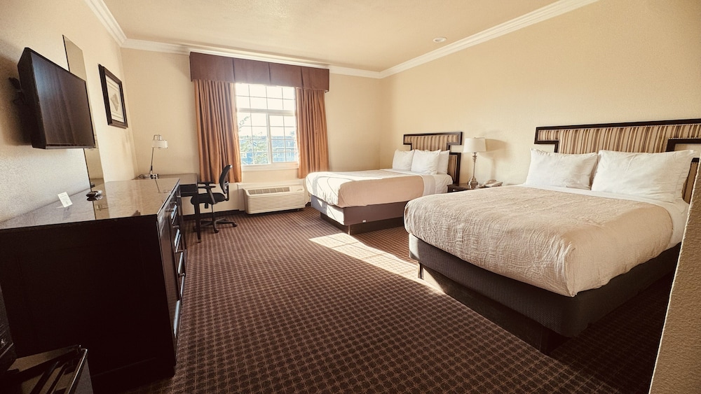 The Miramar Inn and Suites 17/50