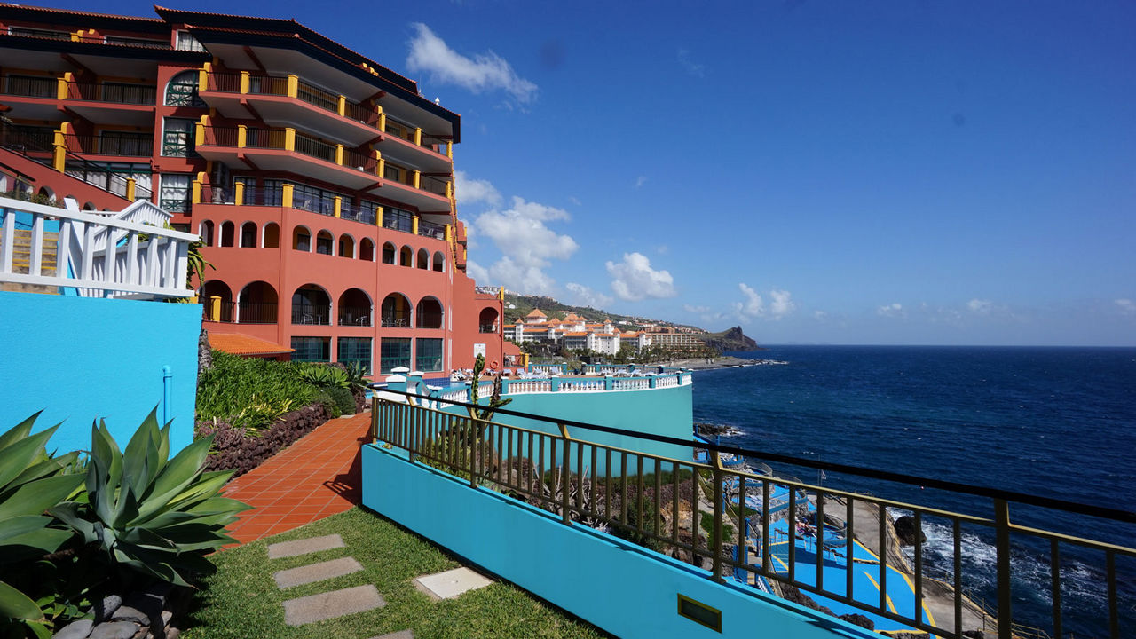 Royal Orchid in CANICO