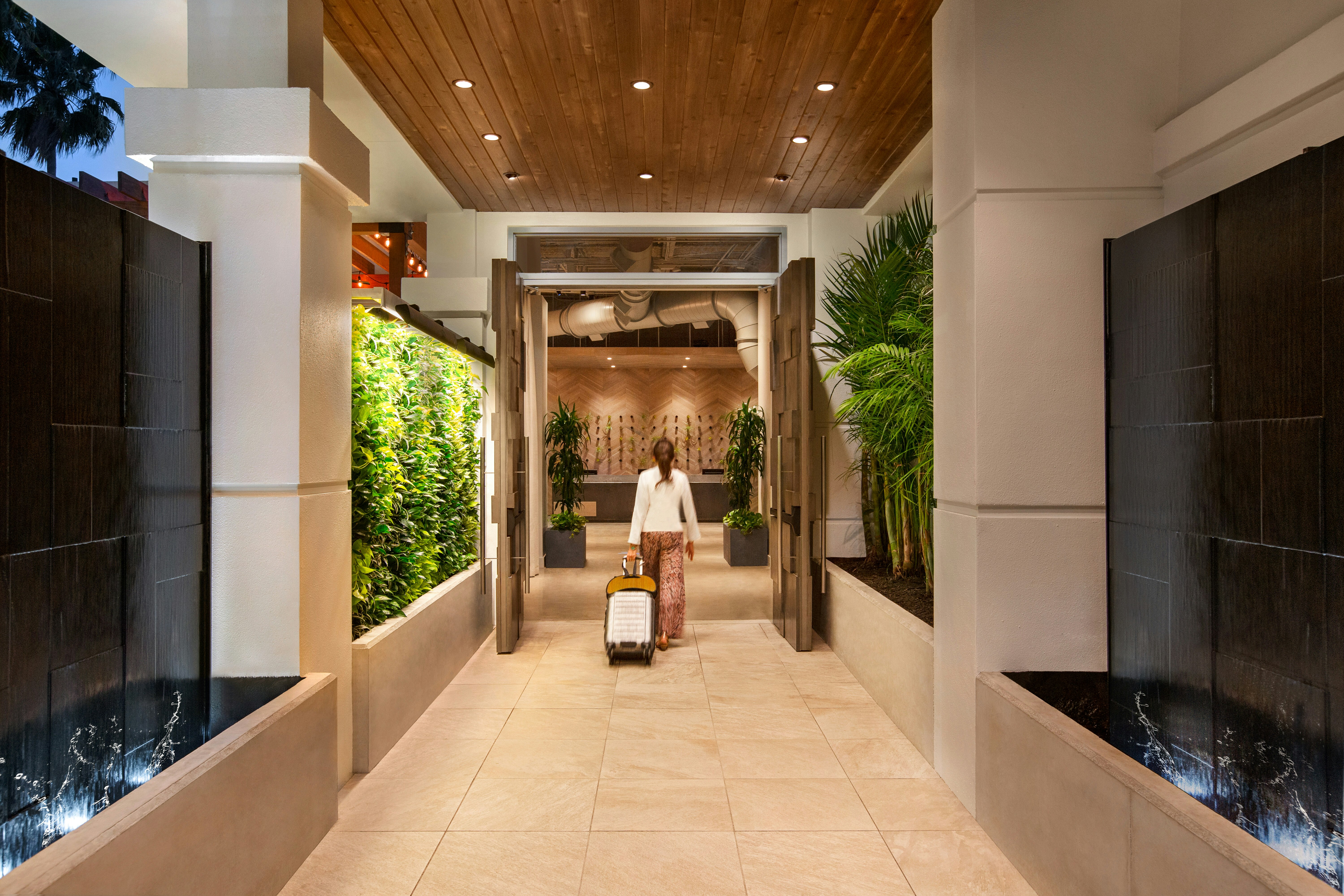Hotel Alba Tampa Tapestry Collection By Hilton 13/64