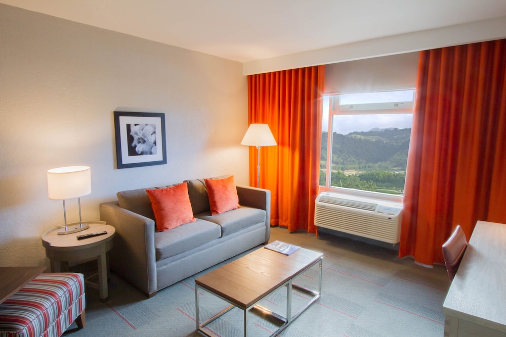 Four Points by Sheraton Caguas Real Hotel Casino 36/58
