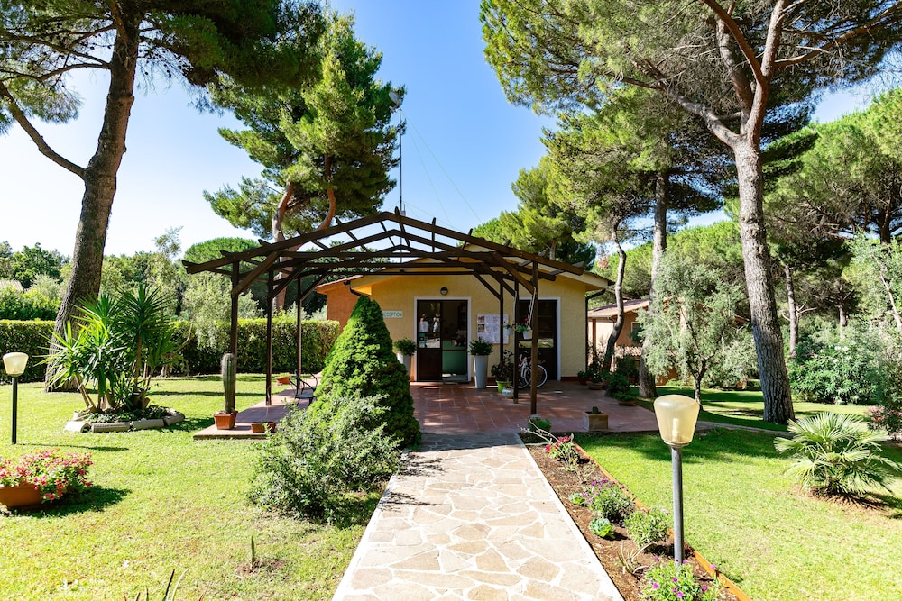 Il Paradiso 37/50