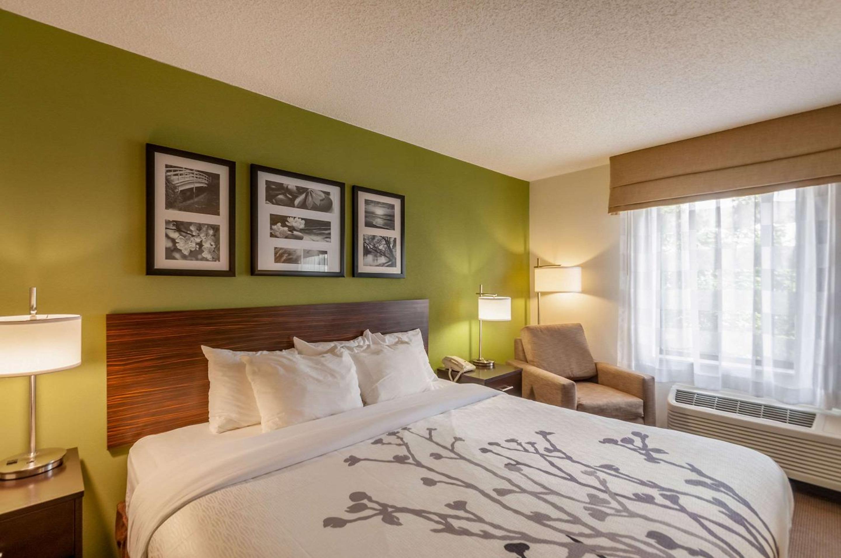 جناح بسرير كينج، Sleep Inn and Suites Harrisonburg Near University 3/5