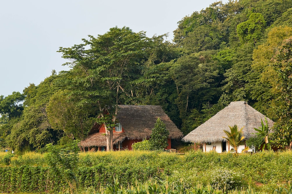 Amuna Ayurvedic Retreat 34/50