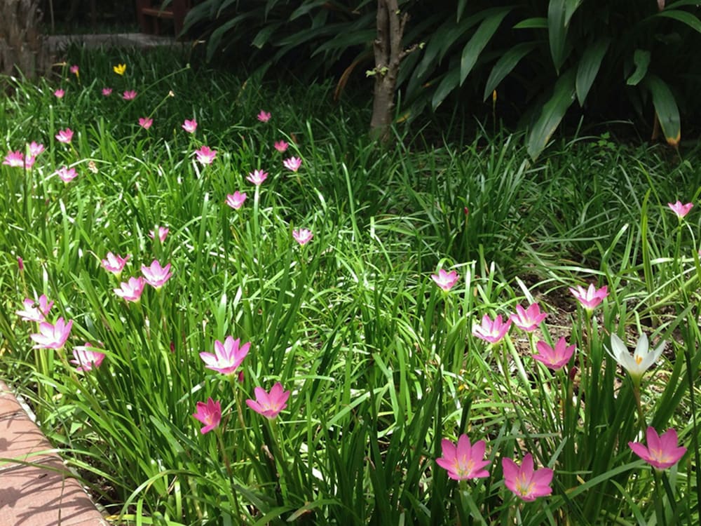 Baan Siriporn Resort 54/68