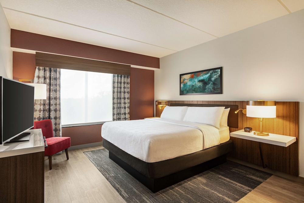 1 Bedroom, Evolution, Suite, King Bed
