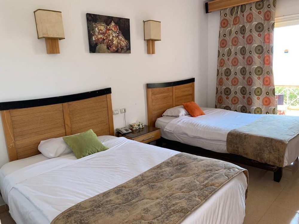 Sharm El Naga Resort and Diving Center 写真5