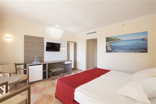 Superior, Single, Double or Twin Bed
