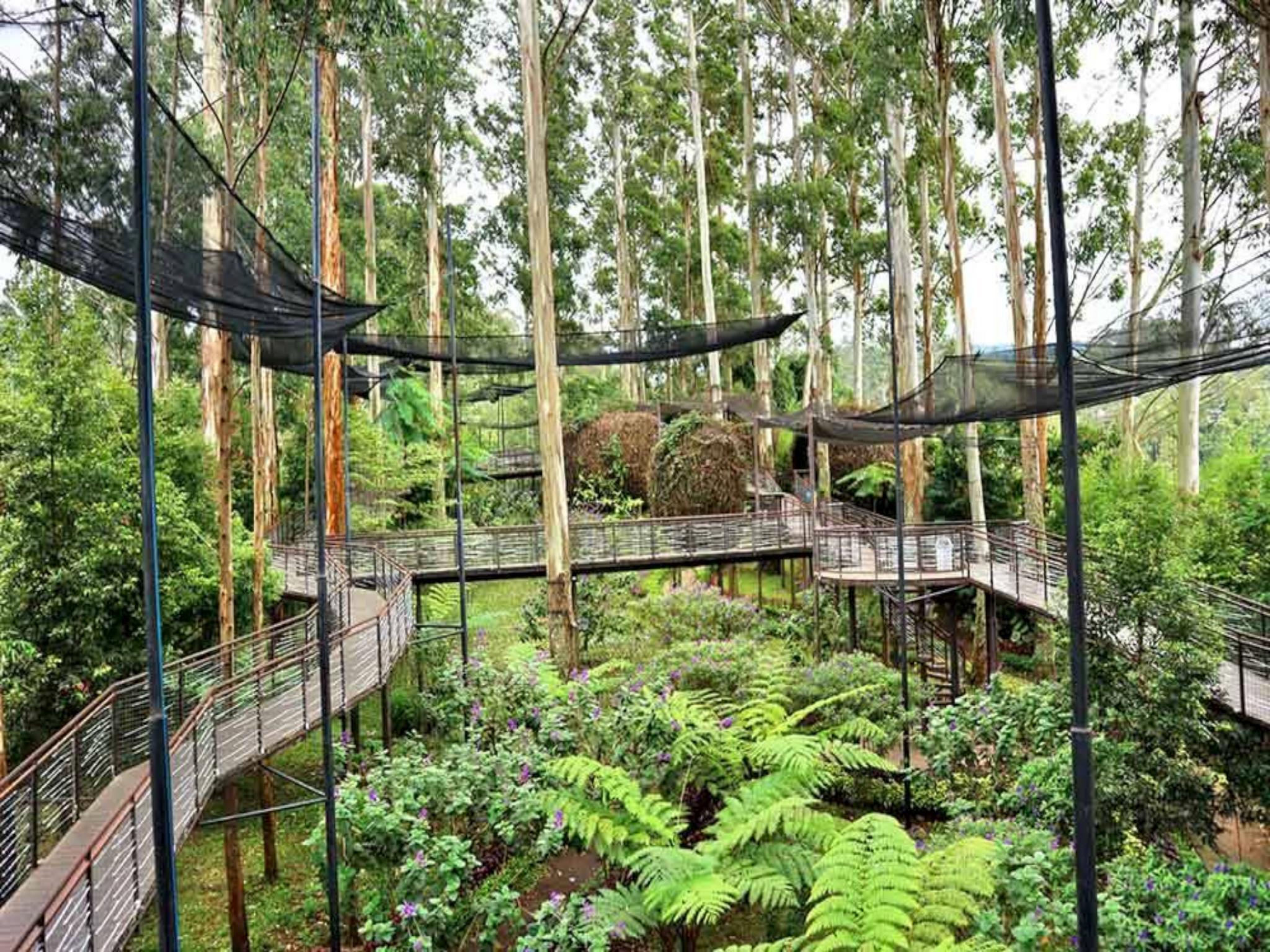Dusun Bambu Resort 32/35