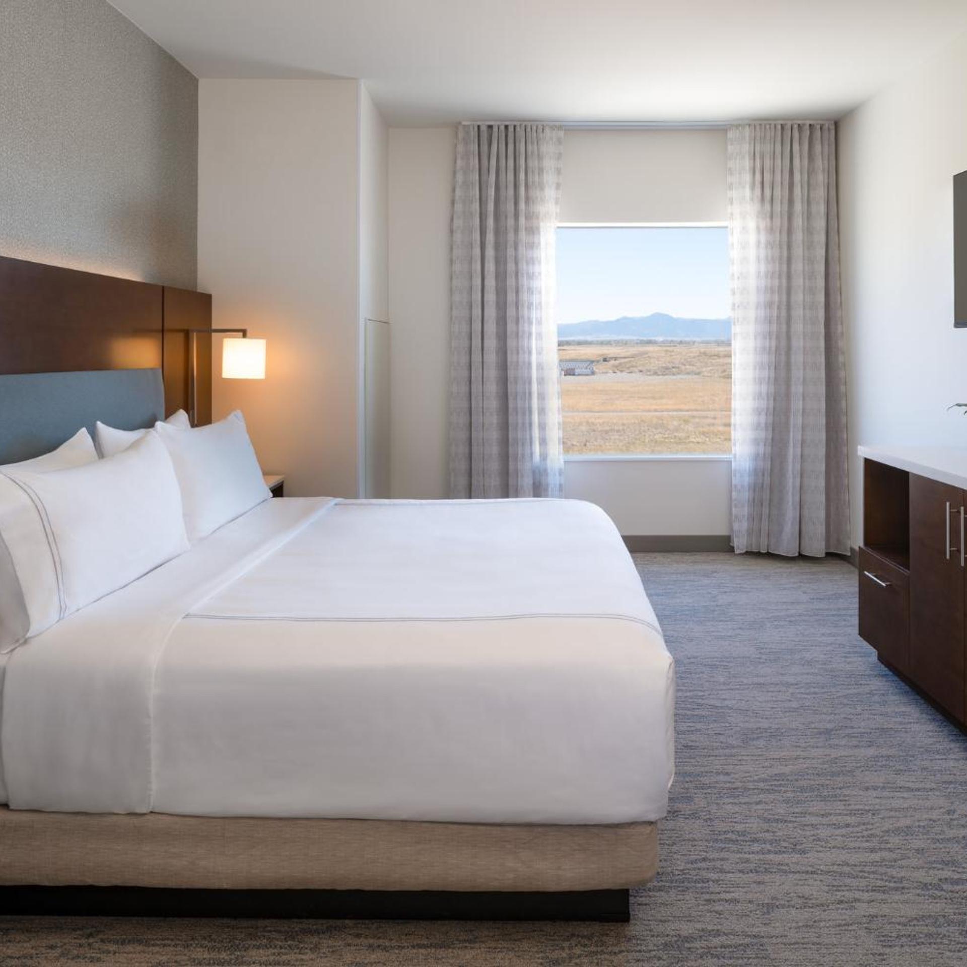 1 Bedroom, King Bed