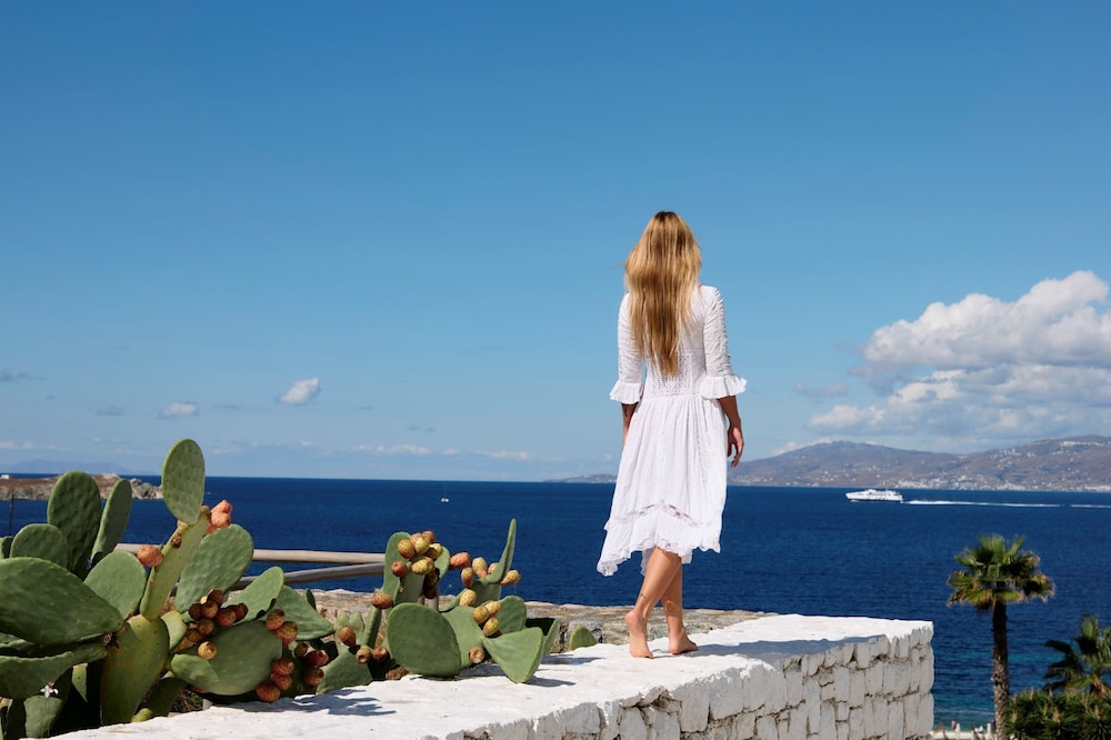 Mykonos Earth Suites 63/70