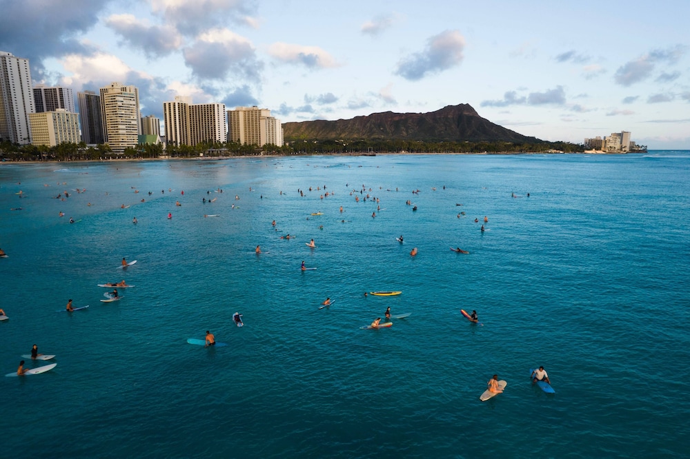 Ohia Waikiki Studio Suites 49/99