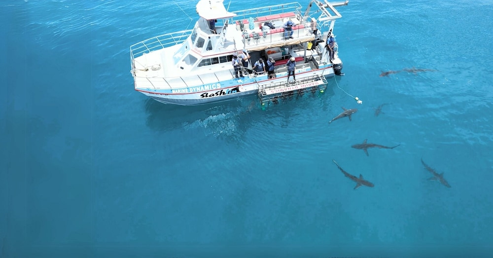 White Shark Guest House 42/50