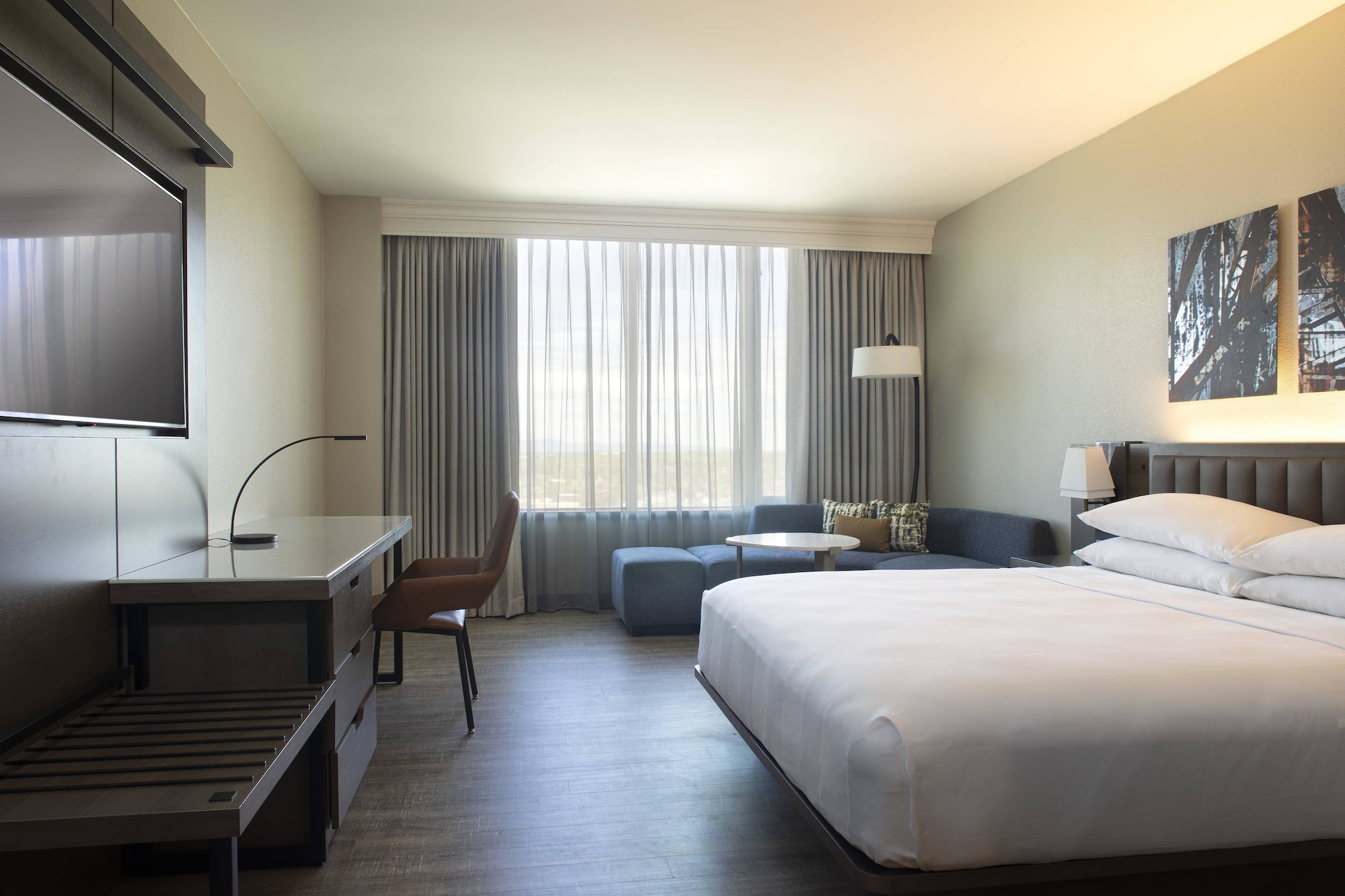 Room, King Bed