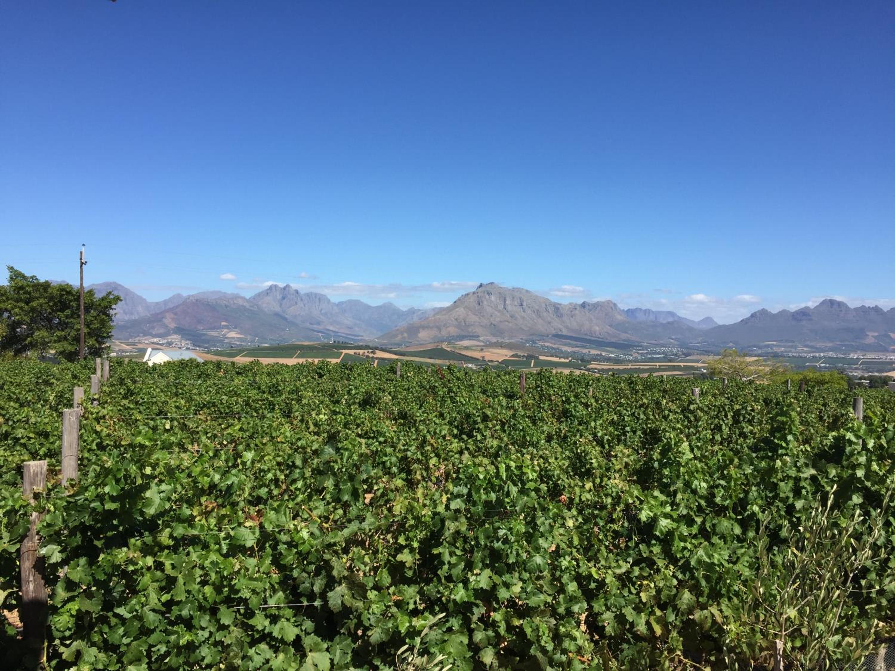 Sunrise And Sunset Apartments At Domaine Coutelier 36/50
