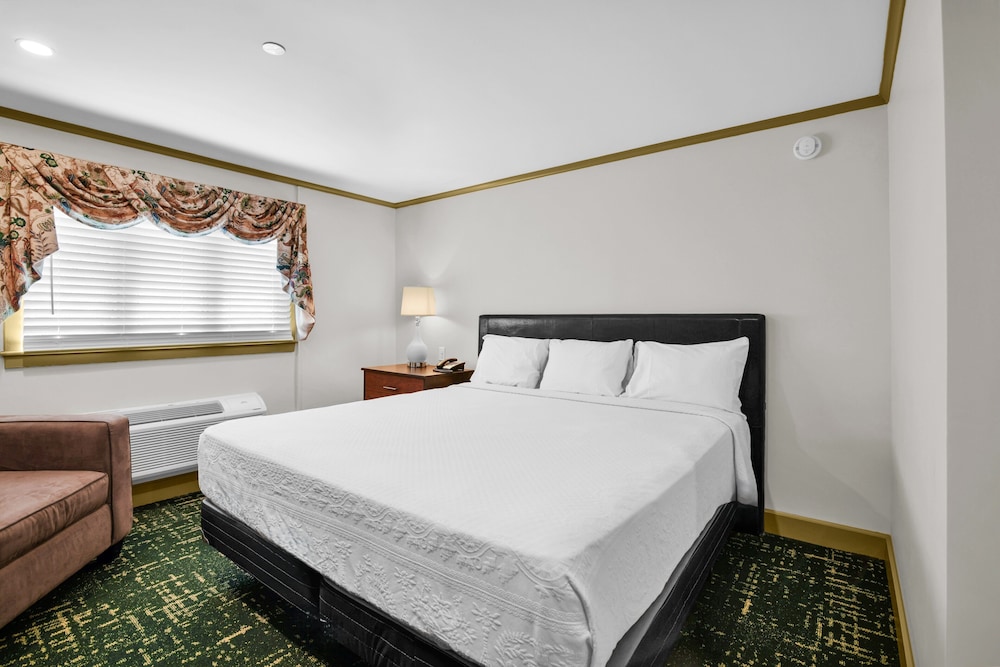 Renovated, King Bed