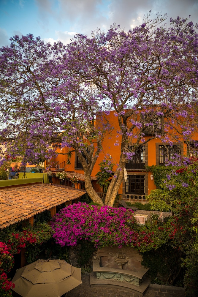 Casa Schuck Bed and Breakfast 43/50